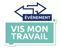 Expérimentation "Vis mon travail"